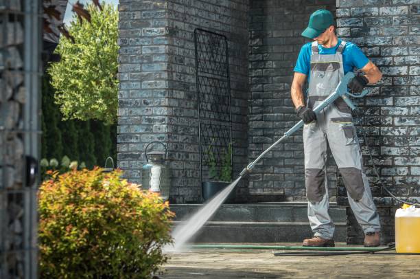 Best Solar Panel Cleaning  in Zeigler, IL